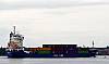 TRANS_ODIN_001